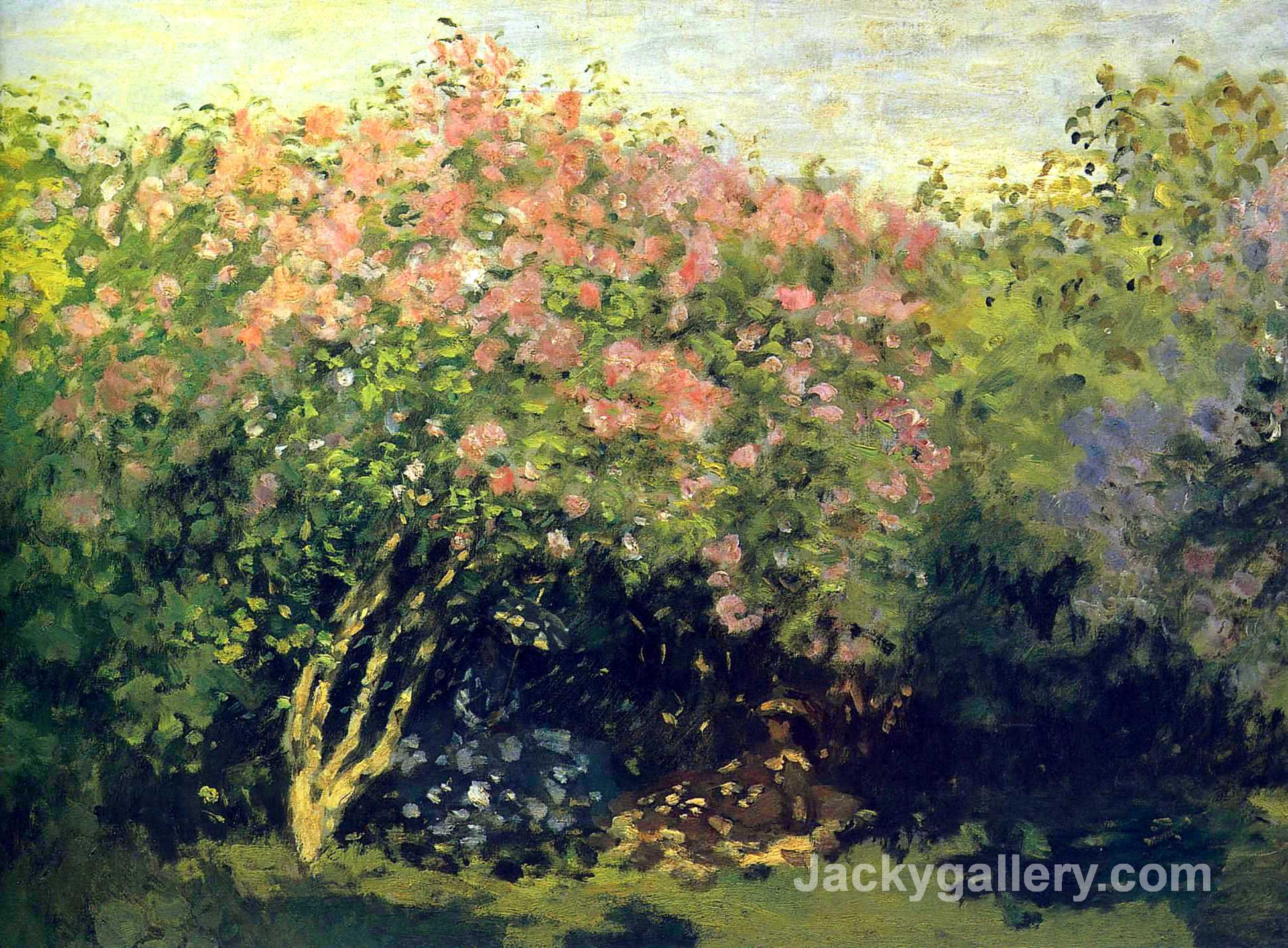 Lilacs in the Sun by Claude Monet paintings reproduction